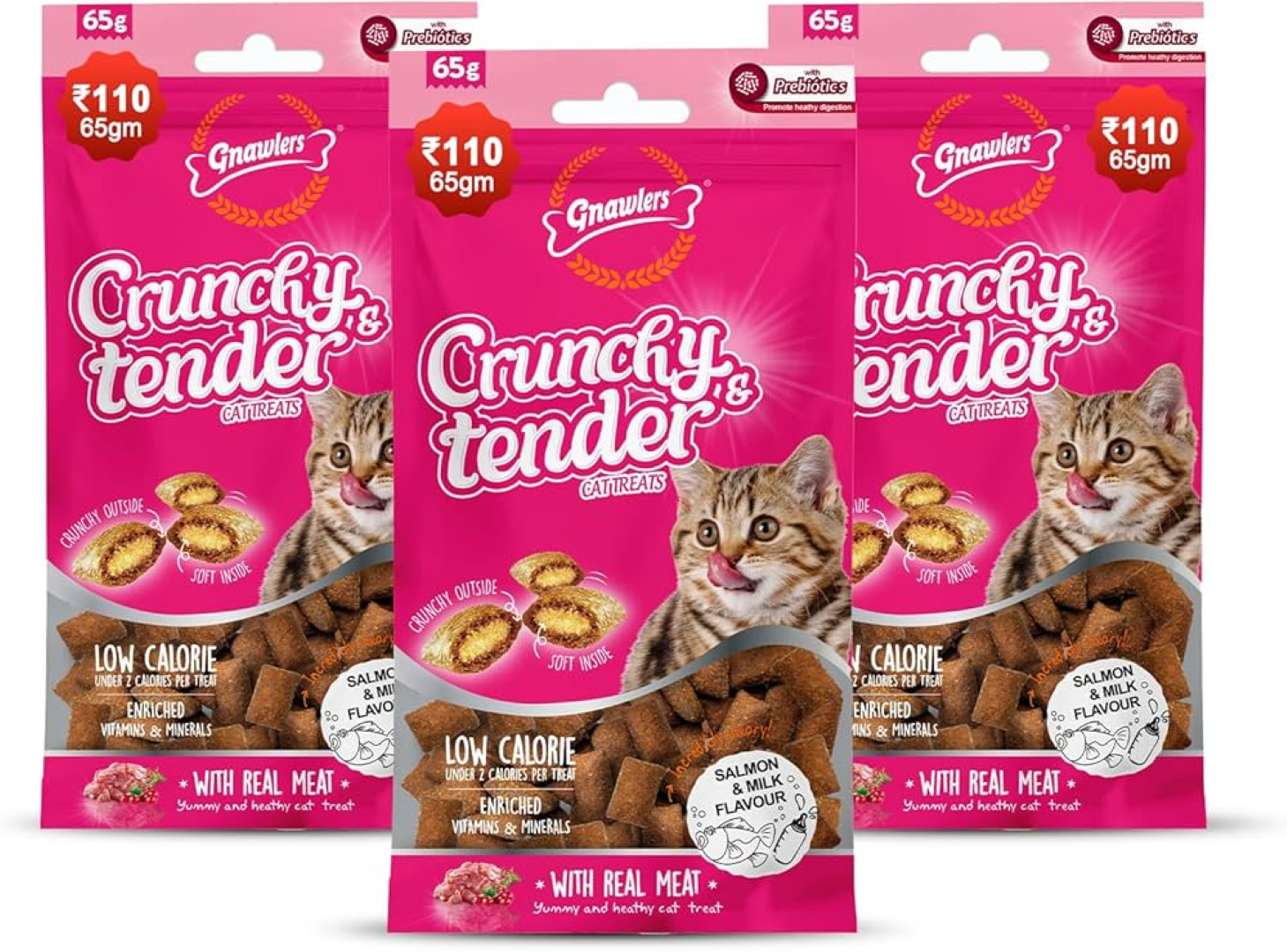 CRUNCHY & TENDER TASTY SALMON & DAIRY FLAVOUR 65GR